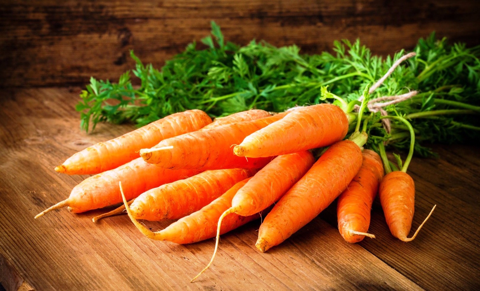 Выращивание моркови. Современная технология выращивания моркови