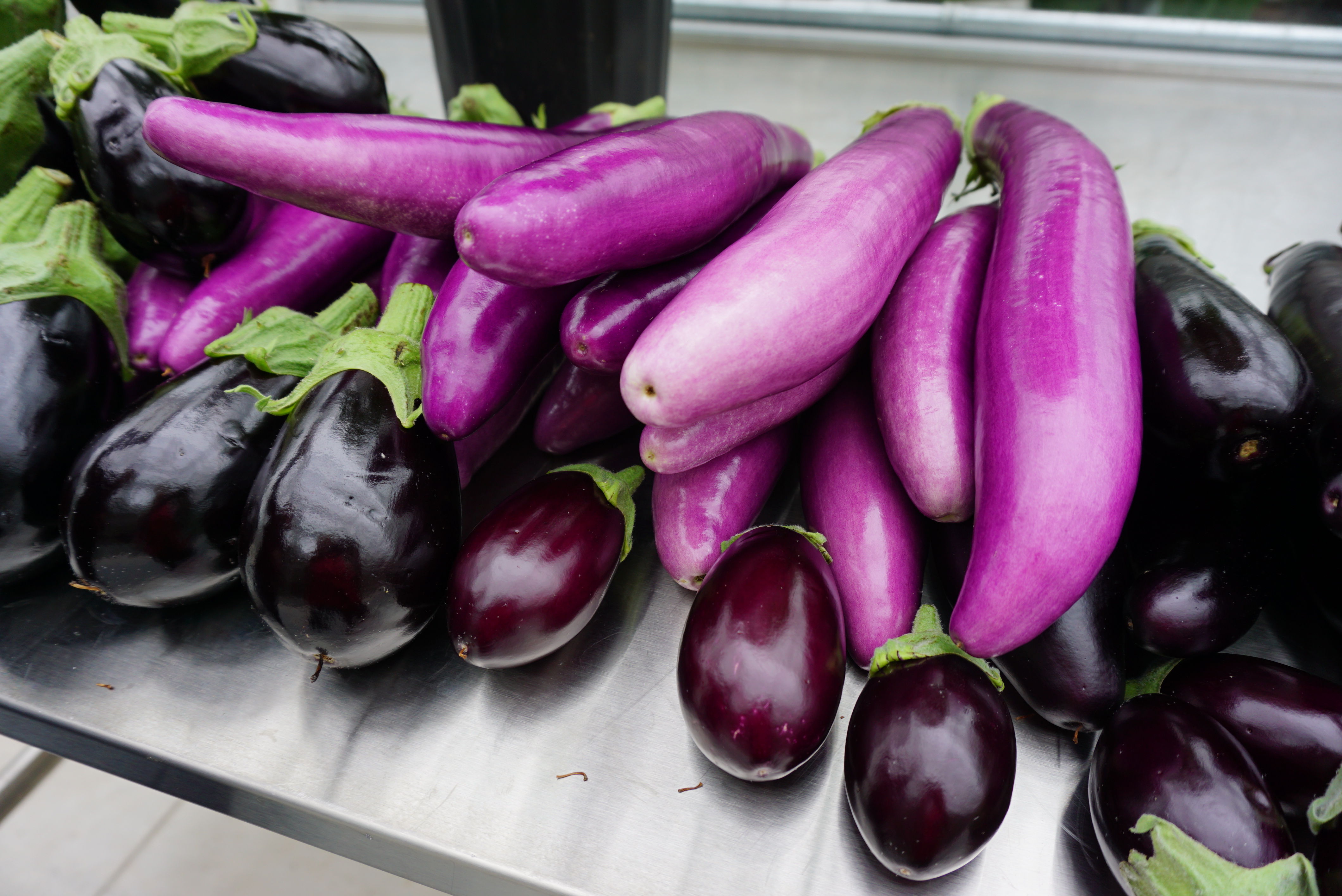 Aubergine dans le cul