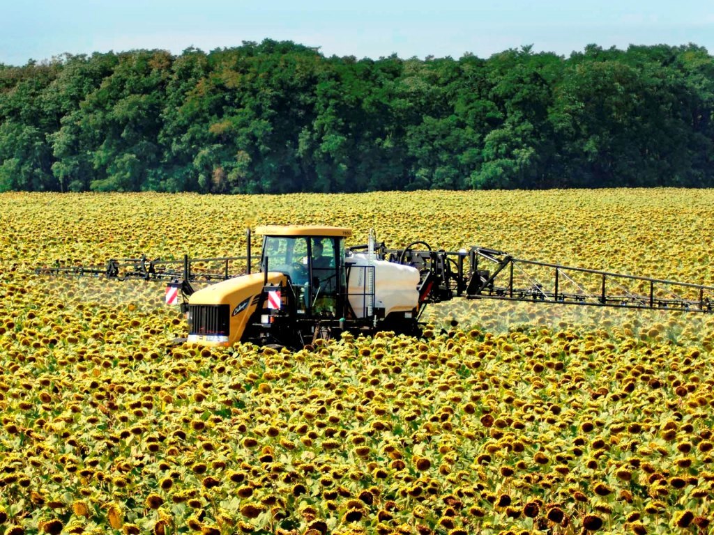 Обрабатываемое поле. Десикация подсолнечника John Deere. Опрыскивание подсолнечника. Посев подсолнечника. Десикация посевов подсолнечника.