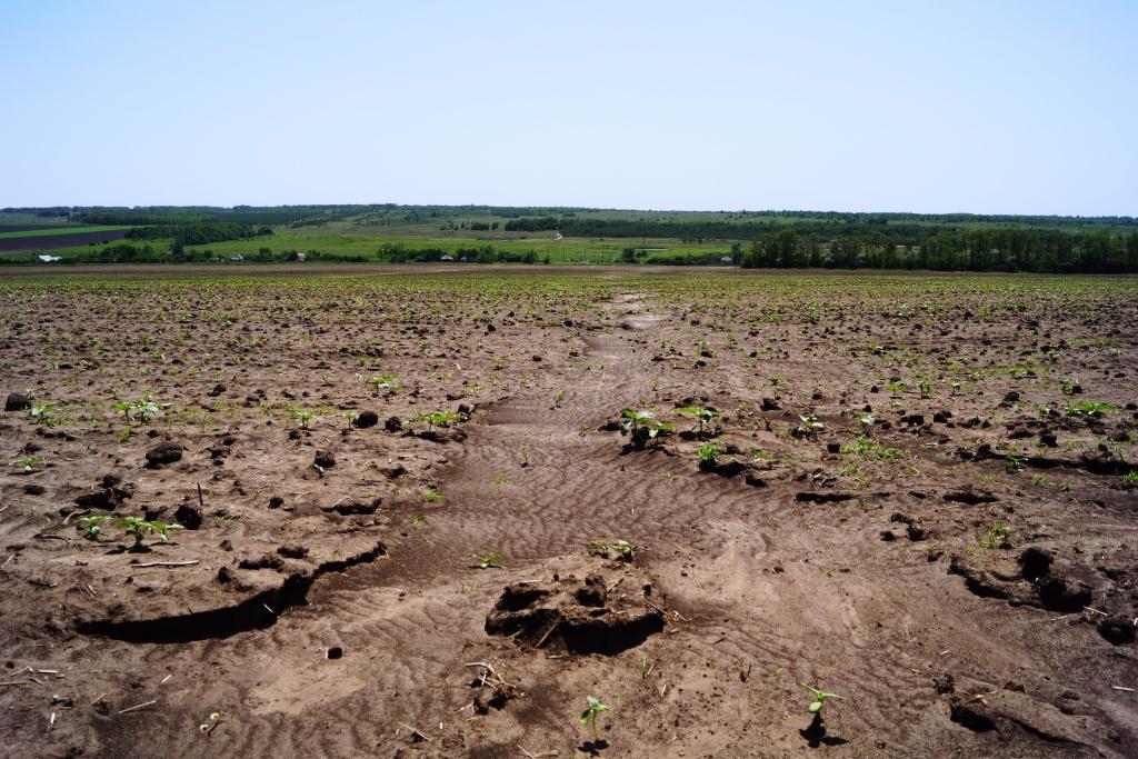 Реферат: Эрозия почв и её последствия