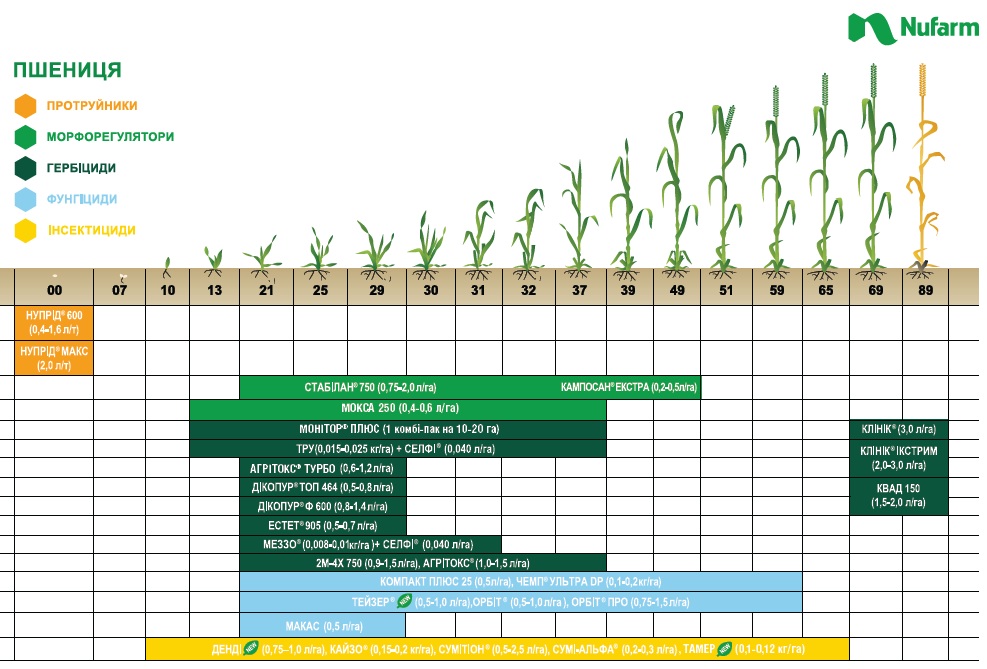 Реферат: Схема технологии возделывания озимой пшениы